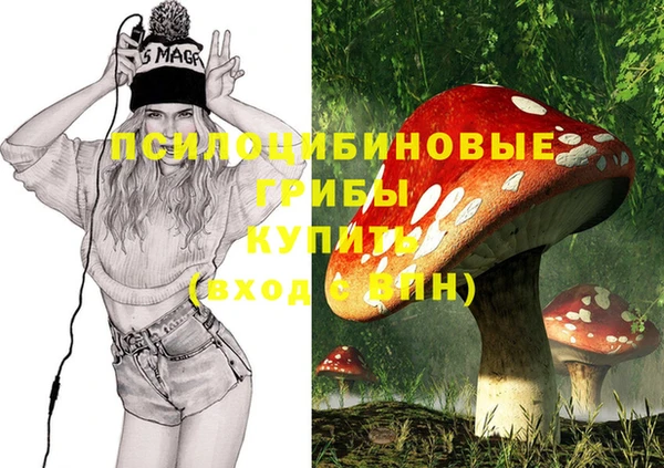 первитин Алексин
