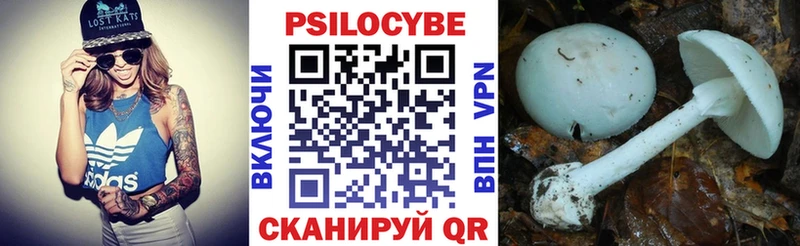 Псилоцибиновые грибы мухоморы Октябрьск